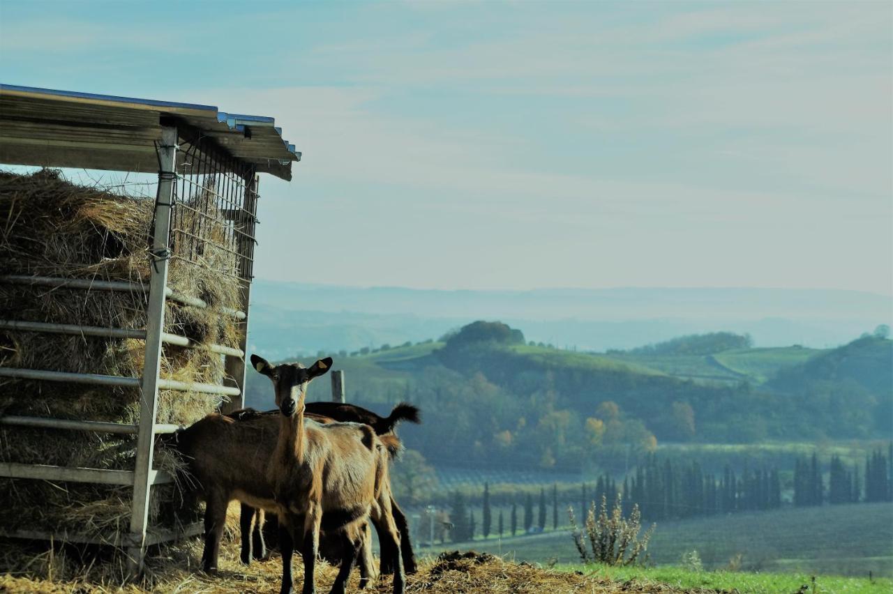 Agriturismo Fattoria Le Caprine Gambassi Terme Exterior photo